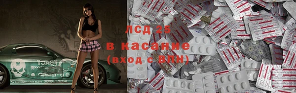стаф Беломорск