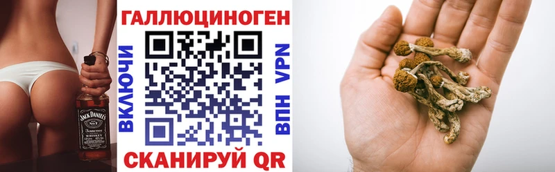 Псилоцибиновые грибы GOLDEN TEACHER  Купить где  Якутск 